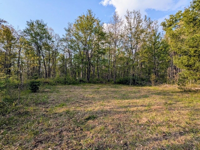 V/L Caberfae Highway, Wellston, MI 49689