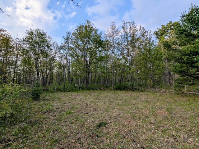 V/L Caberfae Highway, Wellston, MI 49689