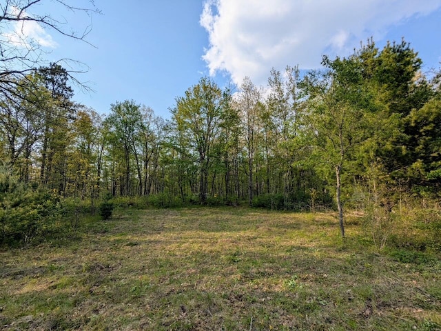V/L Caberfae Highway, Wellston, MI 49689