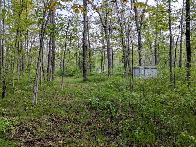 V/L Caberfae Highway, Wellston, MI 49689