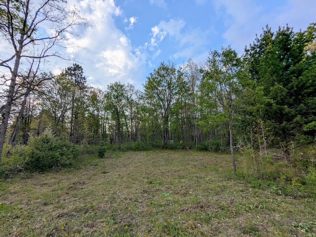 V/L Caberfae Highway, Wellston, MI 49689