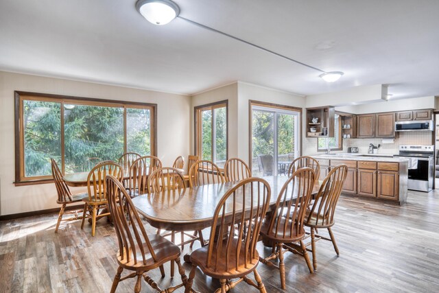 610 Birch St, Big Rapids, MI 49307 - dining room with light wood-style flooring and baseboards