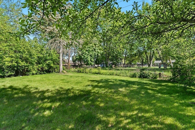 35519 Canyon Dr, Westland, MI 48186 - view of green lawn