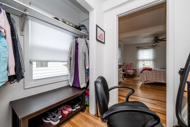 2630 Willa Dr, Saint Joseph, MI 49085 - walk in closet with wood finished floors and a ceiling fan
