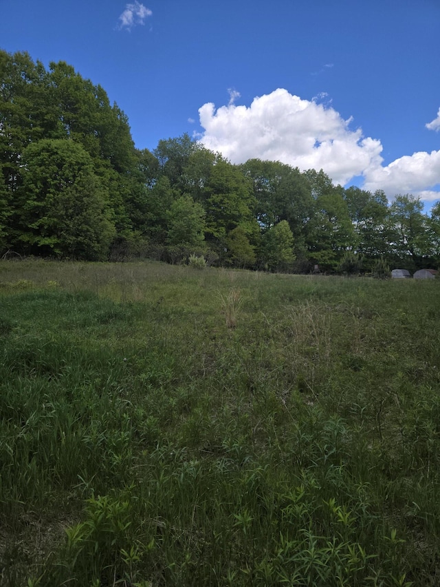 3873 W 136th St, Grant, MI 49327