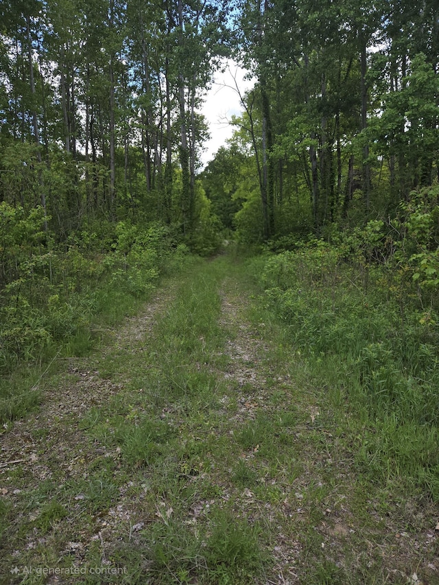 3873 W 136th St, Grant, MI 49327