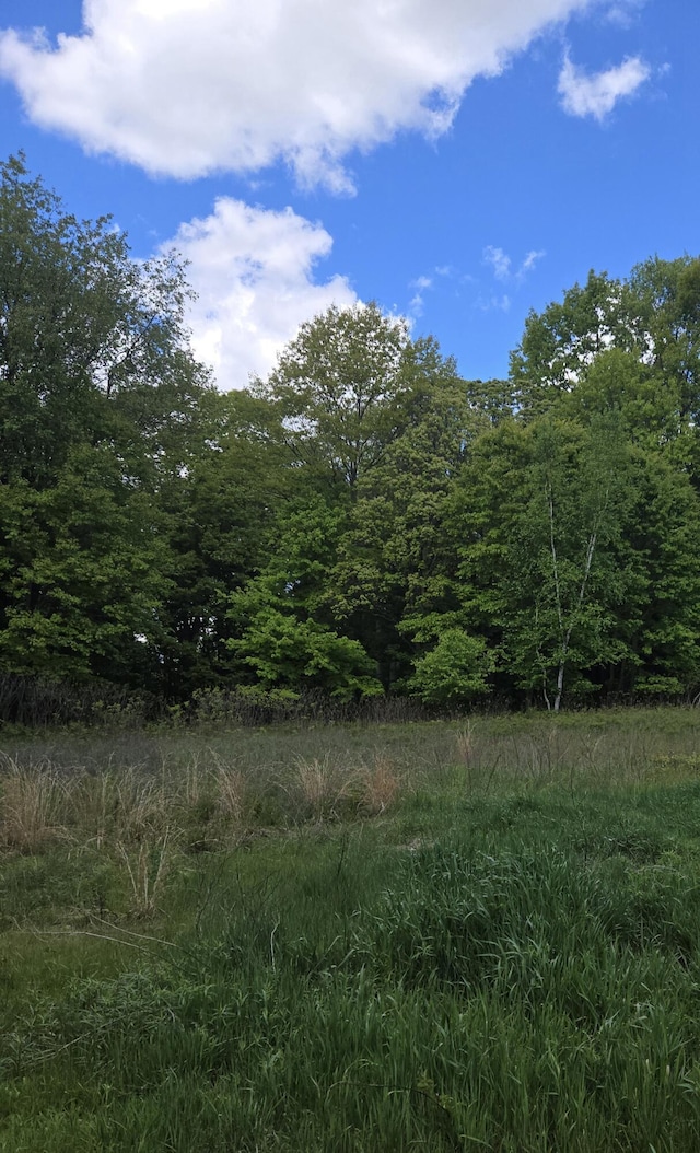 3873 W 136th St, Grant, MI 49327