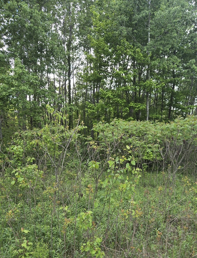 3873 W 136th St, Grant, MI 49327