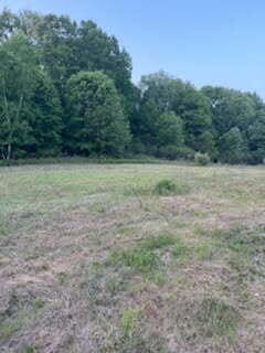 3873 W 136th St, Grant, MI 49327