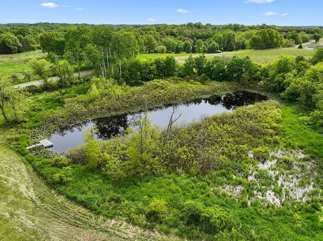 438 E Snow Rd, Baroda, MI 49101