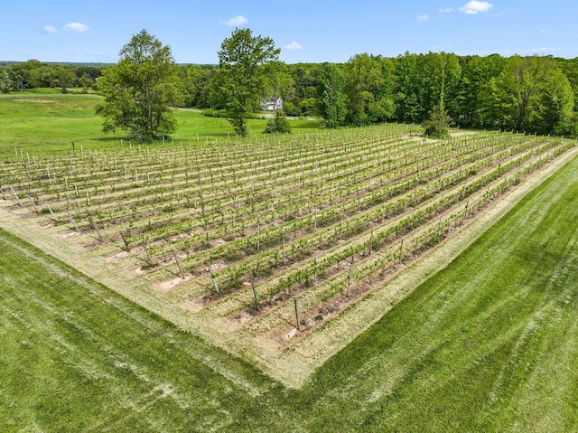 438 E Snow Rd, Baroda, MI 49101