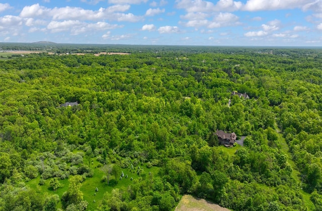 6319 Warren Ct, Ann Arbor, MI 48105