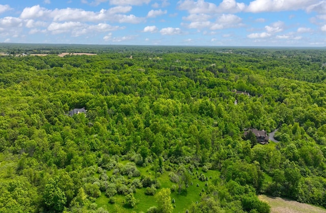 6319 Warren Ct, Ann Arbor, MI 48105