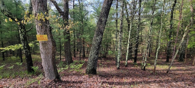 V/L Katherine Ave, Baldwin, MI 49304