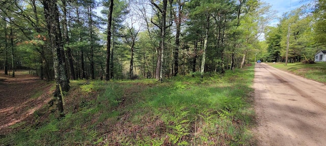 V/L Katherine Ave, Baldwin, MI 49304