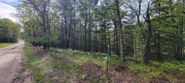 V/L Katherine Ave, Baldwin, MI 49304