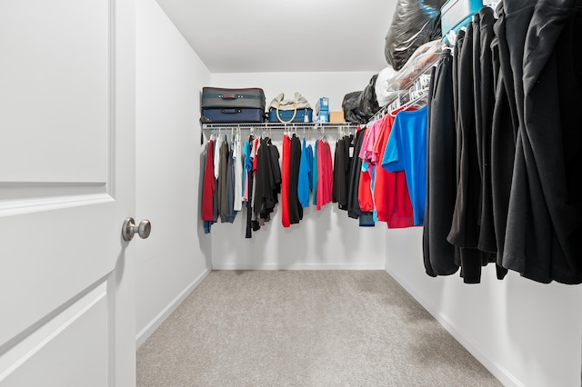 8761 Aveling Way, Richland, MI 49083 - walk in closet featuring carpet