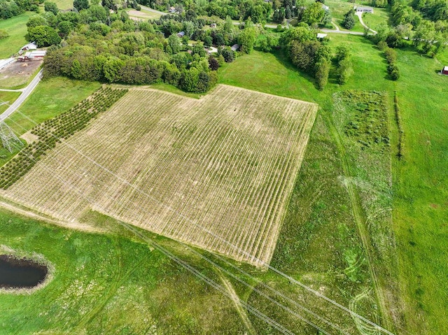 136 E Snow Rd, Baroda, MI 49101