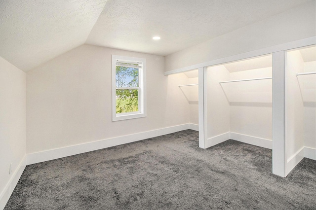512 E Cass St, Schoolcraft, MI 49087 - additional living space featuring carpet floors, vaulted ceiling, a textured ceiling, and baseboards