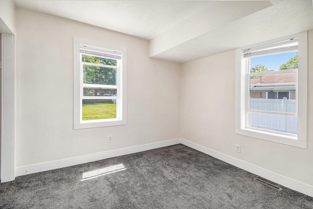 512 E Cass St, Schoolcraft, MI 49087 - empty room with dark colored carpet, baseboards, and plenty of natural light