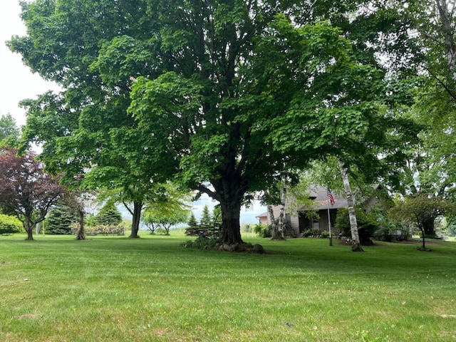 1041 W Arthur Rd, Rothbury, MI 49452 - view of grassy yard