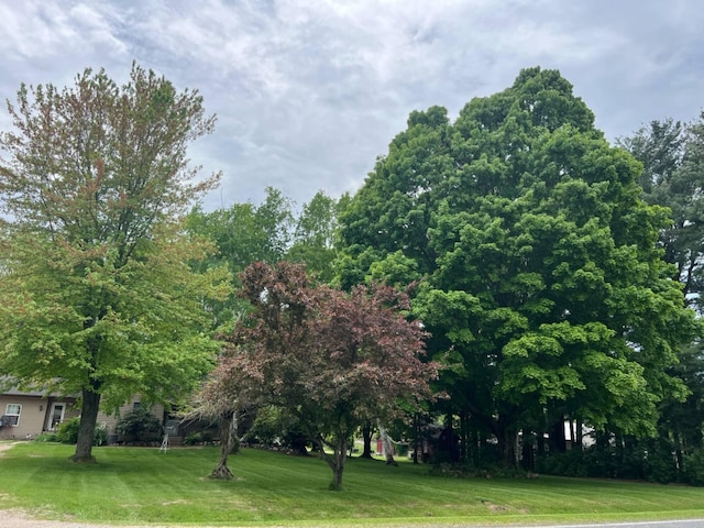 1041 W Arthur Rd, Rothbury, MI 49452 - view of green lawn