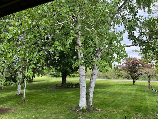 1041 W Arthur Rd, Rothbury, MI 49452 - view of green lawn