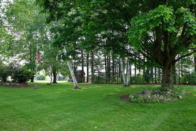 1041 W Arthur Rd, Rothbury, MI 49452 - view of grassy yard