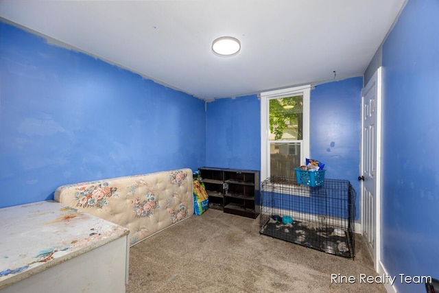 717 Pleasant St, Belding, MI 48809 - unfurnished bedroom featuring carpet