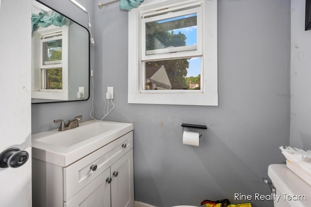 717 Pleasant St, Belding, MI 48809 - bathroom featuring plenty of natural light, toilet, and vanity