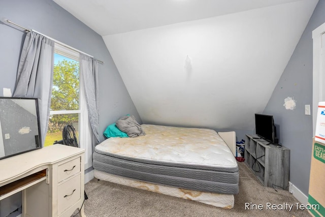 717 Pleasant St, Belding, MI 48809 - carpeted bedroom featuring lofted ceiling and baseboards