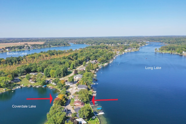 70847 Claire Dr, Union, MI 49130 - aerial view of property's location featuring a large body of water and a forest