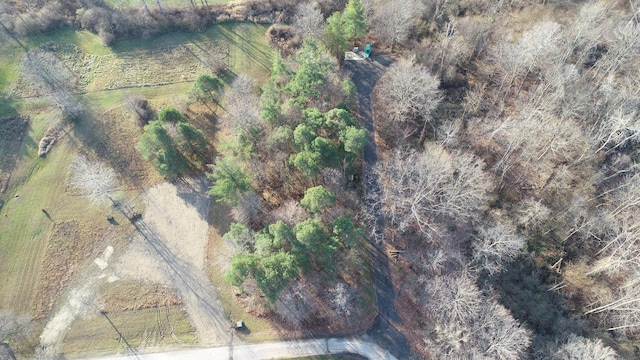 3 Wells St, South Haven, MI 49090 - photo 2