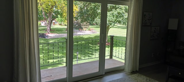 5230 Southbrook Ct Unit 78, Hudsonville, MI 49426 - doorway with plenty of natural light