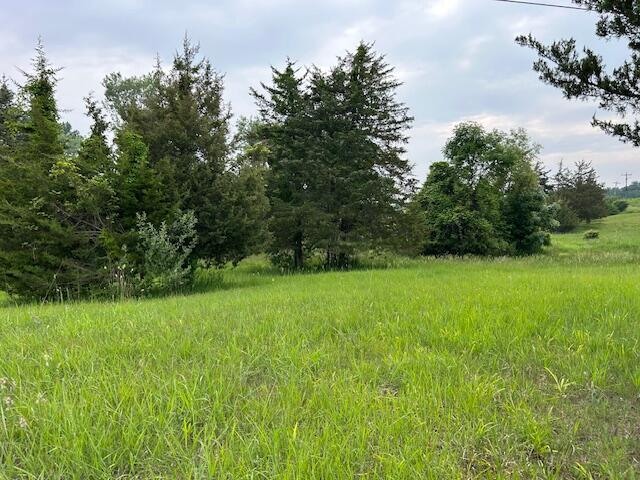 900 Pamawa Dr, Brooklyn, MI 49230 - photo 6