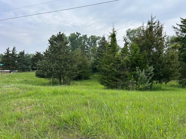 900 Pamawa Dr, Brooklyn, MI 49230 - photo 7