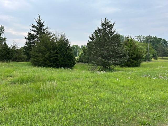 900 Pamawa Dr, Brooklyn, MI 49230 - photo 8