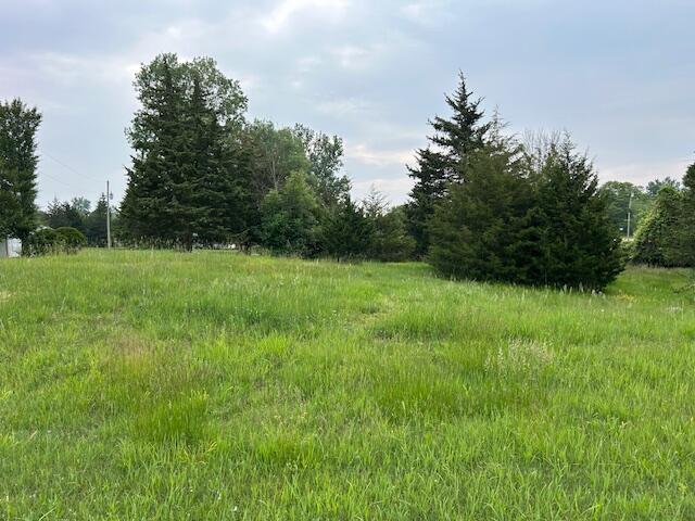 900 Pamawa Dr, Brooklyn, MI 49230 - photo 9