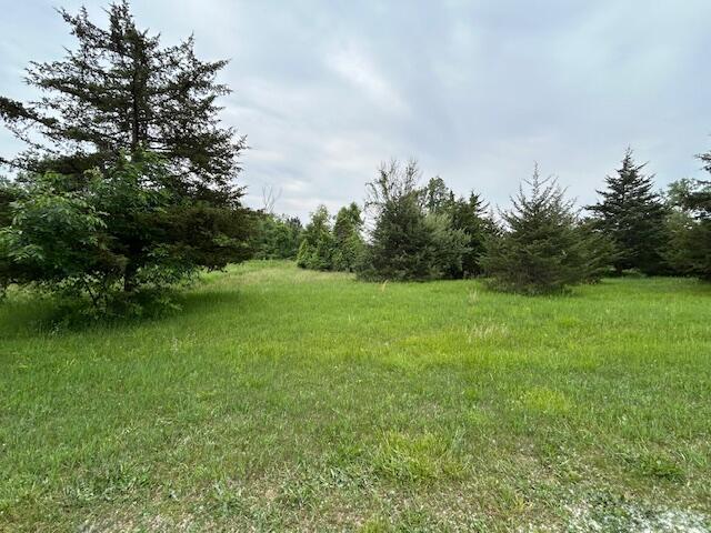 900 Pamawa Dr, Brooklyn, MI 49230 - photo 12