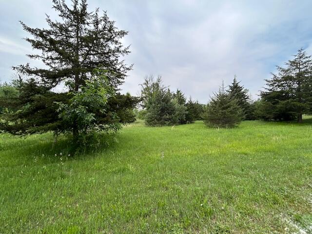 900 Pamawa Dr, Brooklyn, MI 49230 - photo 13