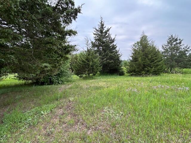 900 Pamawa Dr, Brooklyn, MI 49230 - photo 14