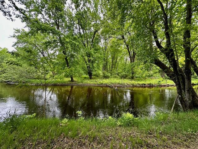 1566 N Fitzgerald Ave, Hesperia, MI 49421 - water view