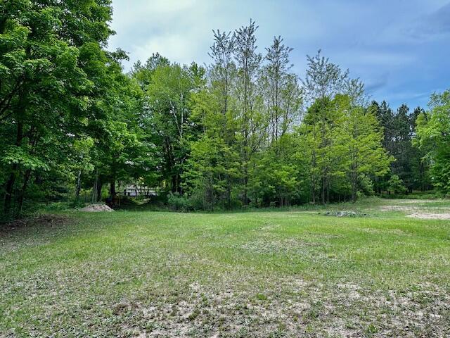 1566 N Fitzgerald Ave, Hesperia, MI 49421 - view of yard featuring a wooded view