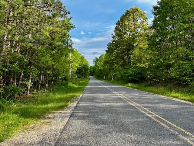 1566 N Fitzgerald Ave, Hesperia, MI 49421 - view of asphalt street with a view of trees