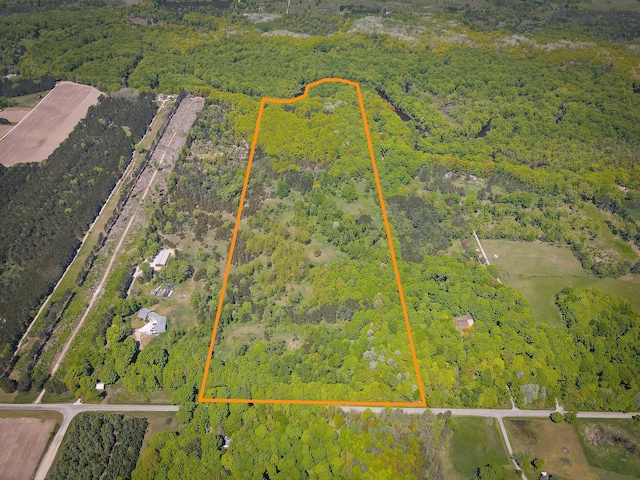 V/L E Conrad Rd, Custer, MI 49405