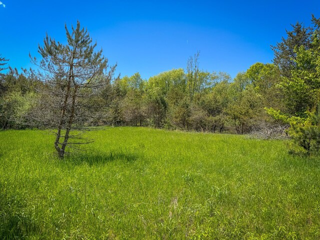 V/L E Conrad Rd, Custer, MI 49405