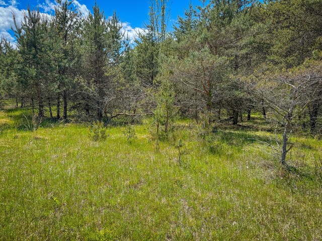 V/L E Conrad Rd, Custer, MI 49405