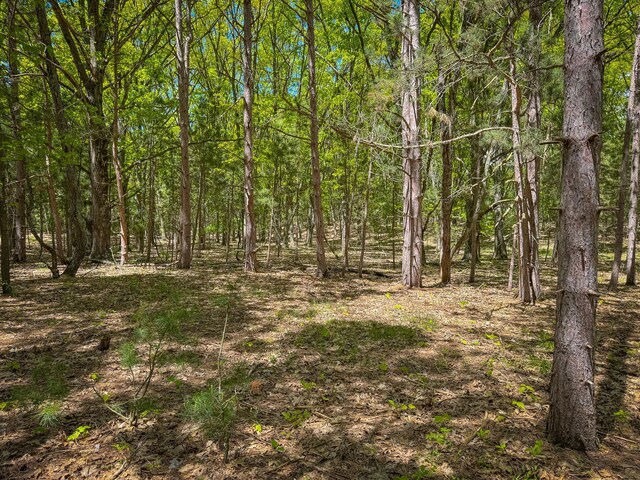 V/L E Conrad Rd, Custer, MI 49405