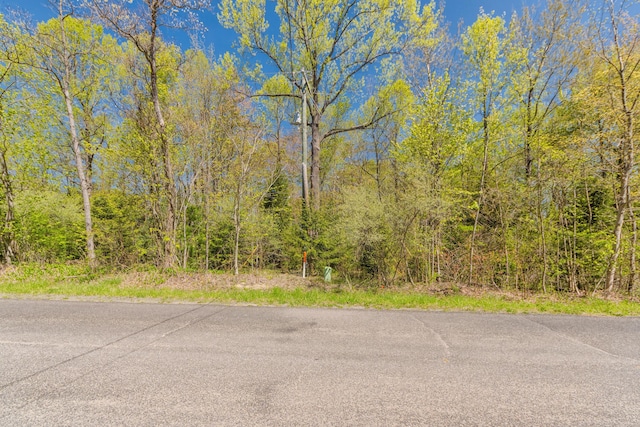 6th Ave, South Haven, MI 49090 - photo 3