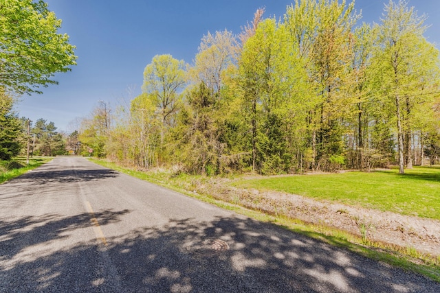 6th Ave, South Haven, MI 49090 - photo 1